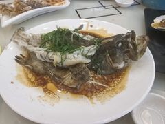 清蒸石斑鱼-覃记海鲜美食餐厅