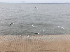 -东疆建设开发纪念公园