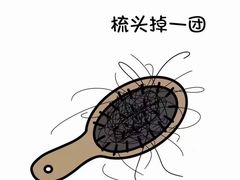 -中国农业大学(西校区)