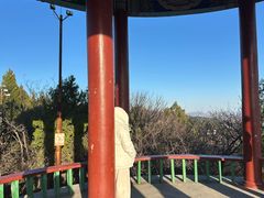 -府君山公园