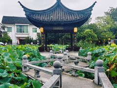 -丝绸小镇荻港古村