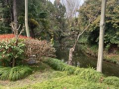 -水绘园