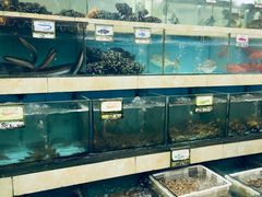水产区-秋姐美食店(旅游大道店)