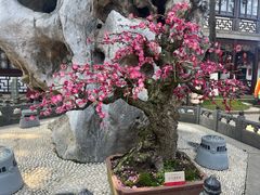 -寒山寺