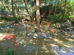 -三亚蜈支洲岛旅游区