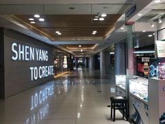 -大悦城(沈阳中街店)