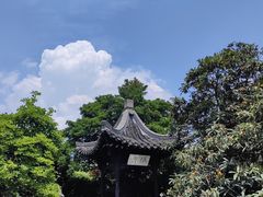 -何园