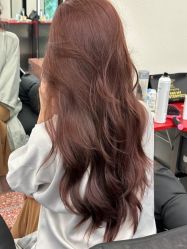-IP SALON
