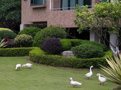 -厦门国家会计学院