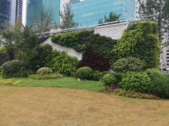 -西北湖绿化广场