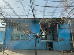 -秦皇岛野生动物园