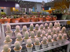 -KKV(深圳宏发大仟里店)