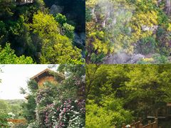 -九如山休闲旅游度假区