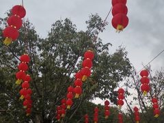 -福州动物园