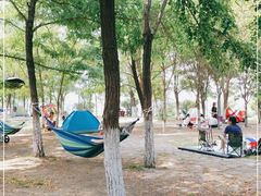 -长白岛森林公园