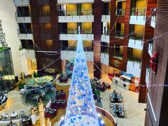 -深圳观澜格兰云天国际酒店