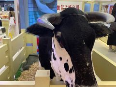 -红星前进面包牛奶公司(君太店)