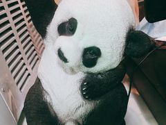 -六时安·熊猫张甜品店(东关街店)