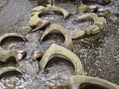 -成都市活水公园