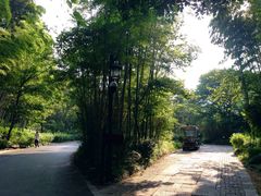-法云安缦酒店