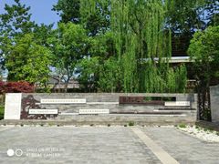 -莲花池公园