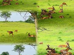 -良渚古城遗址公园