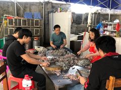 -章记正宗南岗鱼蛋火锅