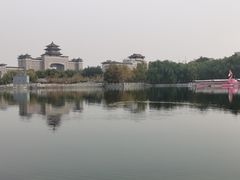 -莲花池公园