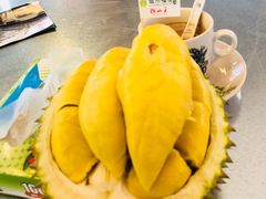 -都念榴莲·城市榴莲