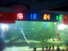 -石林冰雪海洋世界