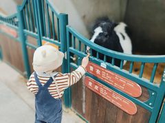 -杭州少年儿童公园