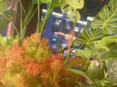 -焰江山·海鲜牛排烤肉自助(环形中心店)