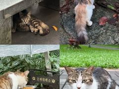 -广州珠江公园
