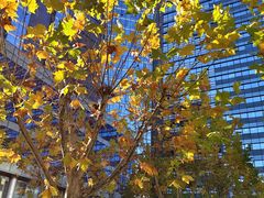 -新荟城(望京店)