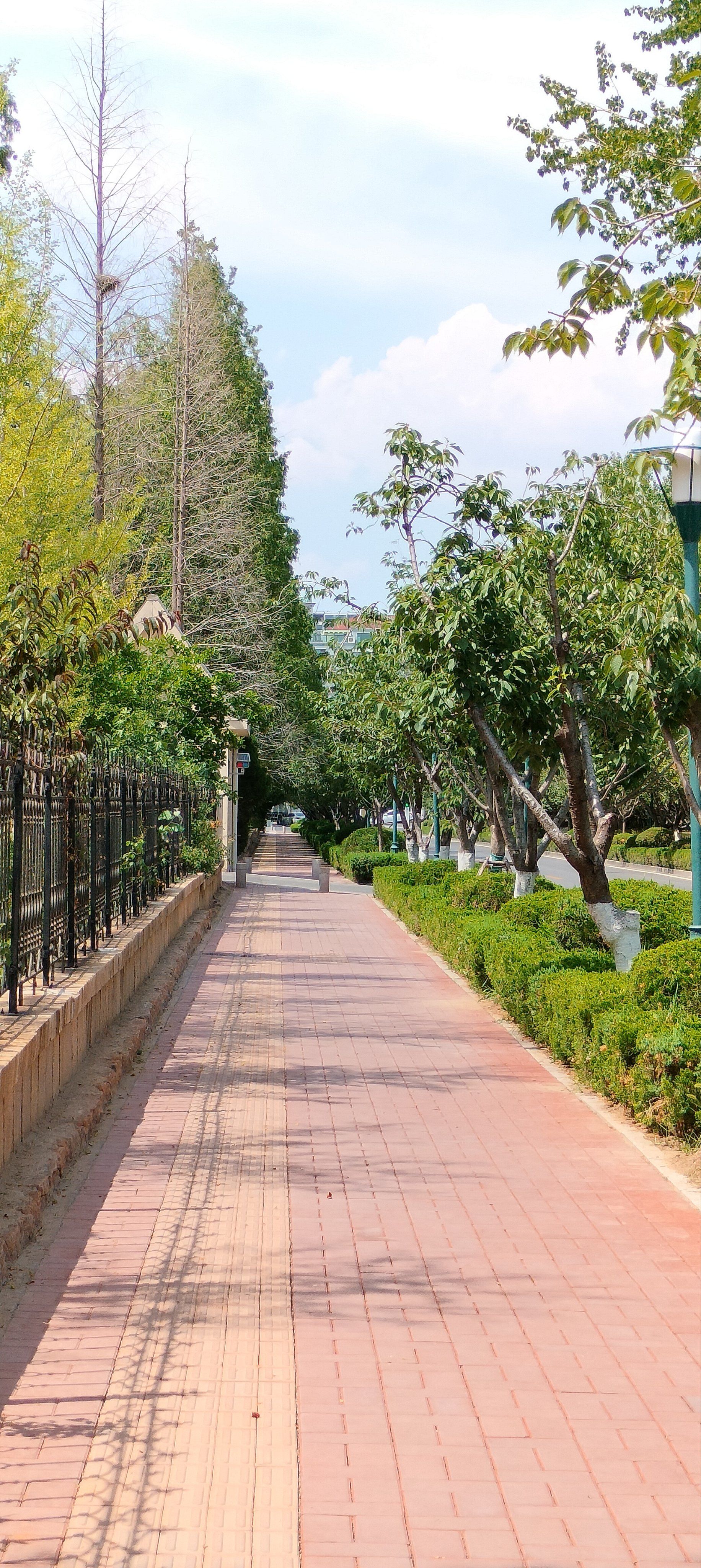 漫步街头的美景掠影