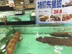 -渔民新村(番禺总店)