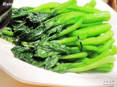 清炒菜心-神洲四海大酒楼(王府井澳门中心店)