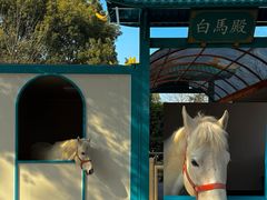 -宁波野生动物园