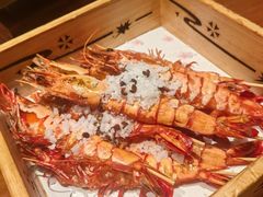 -月龍吟(朝龙汇店)