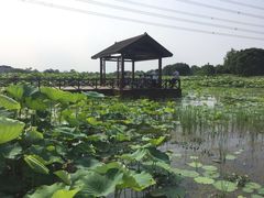 景点-梁鸿国家湿地公园