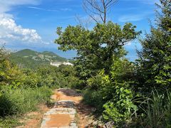 -石排湾郊野公园