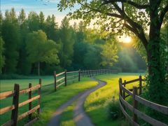 -长白岛森林公园