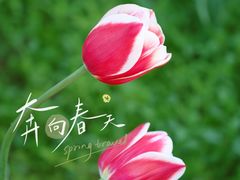 -国家植物园