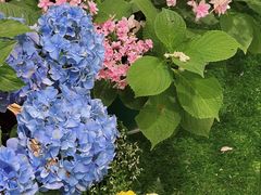-花十悦·鲜花咖啡餐厅(振业城一期店)