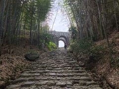 -仙霞关景区