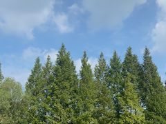 -苏州太湖国家湿地公园