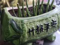 大堂-老健康贾姨原味馆