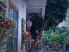 -伦教678文化街