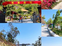 -板樟山森林公园