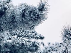 -八达岭长城
